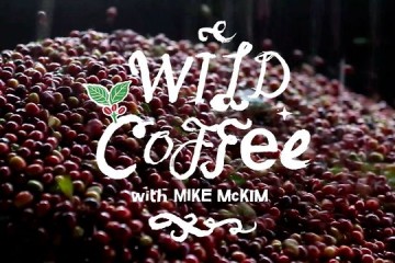 Wild Coffee